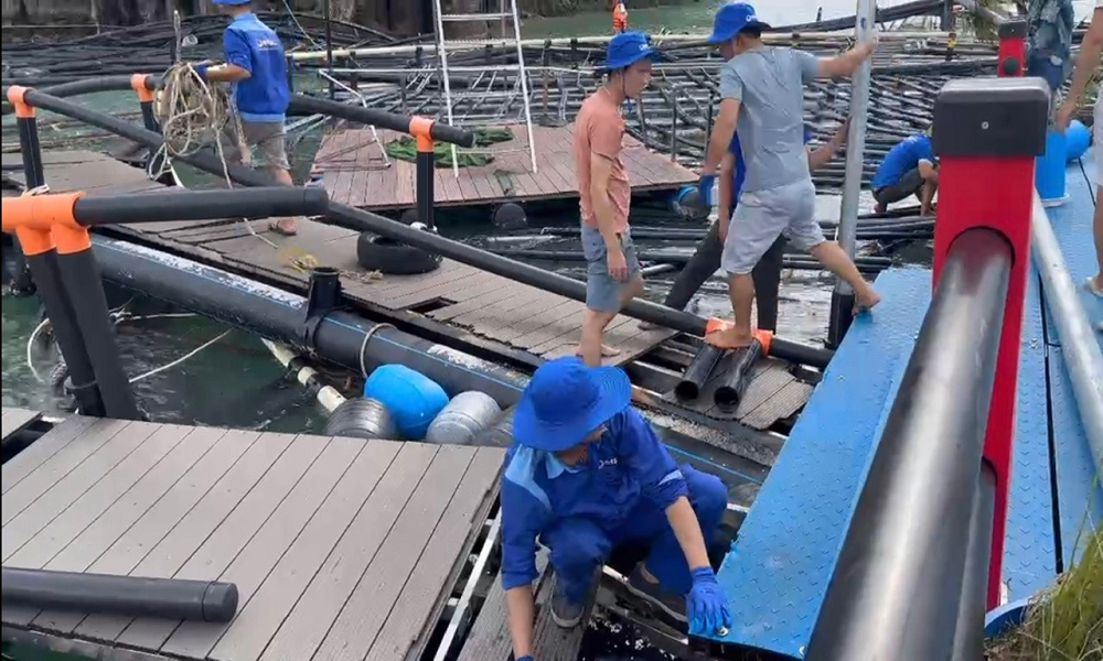 Neo lại lồng HDPE sau bão Yagi