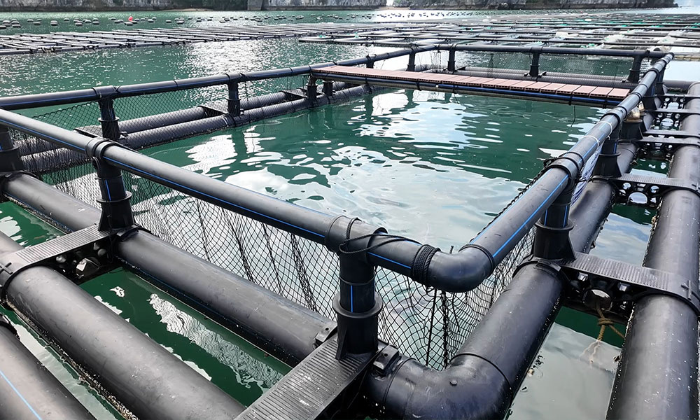 long-be-HDPE-5