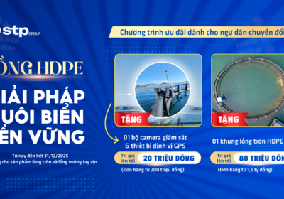 Chương trình ưu đãi lồng HDPE từ STP Group