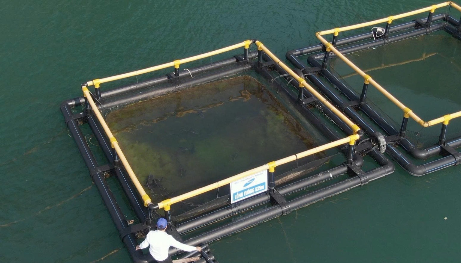 Lồng vuông nuôi cá 5x5M