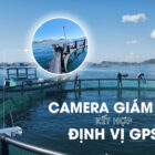 Lồng HDPE kết hợp camera định vị GPS