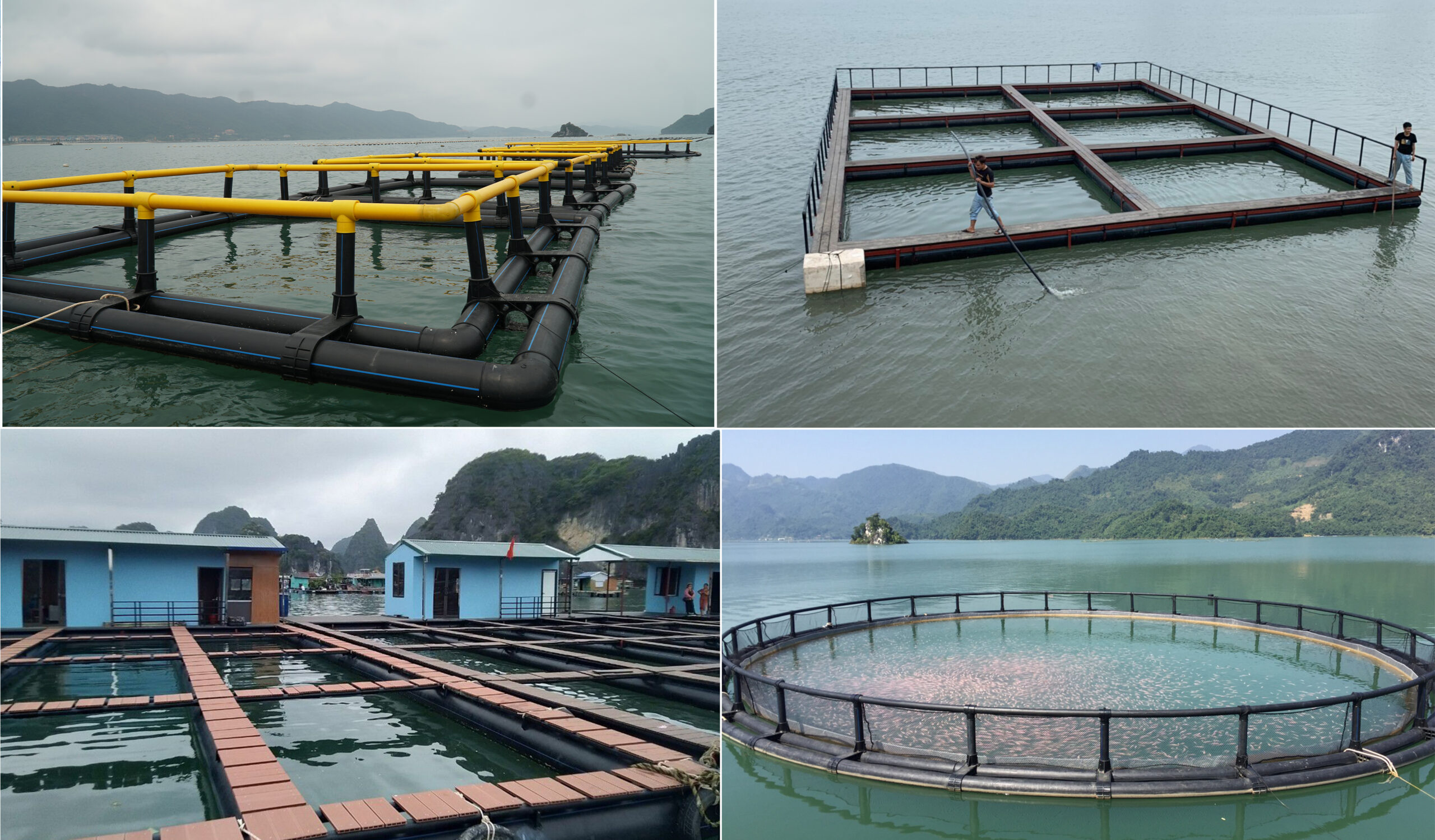 Lồng nuôi cá HDPE