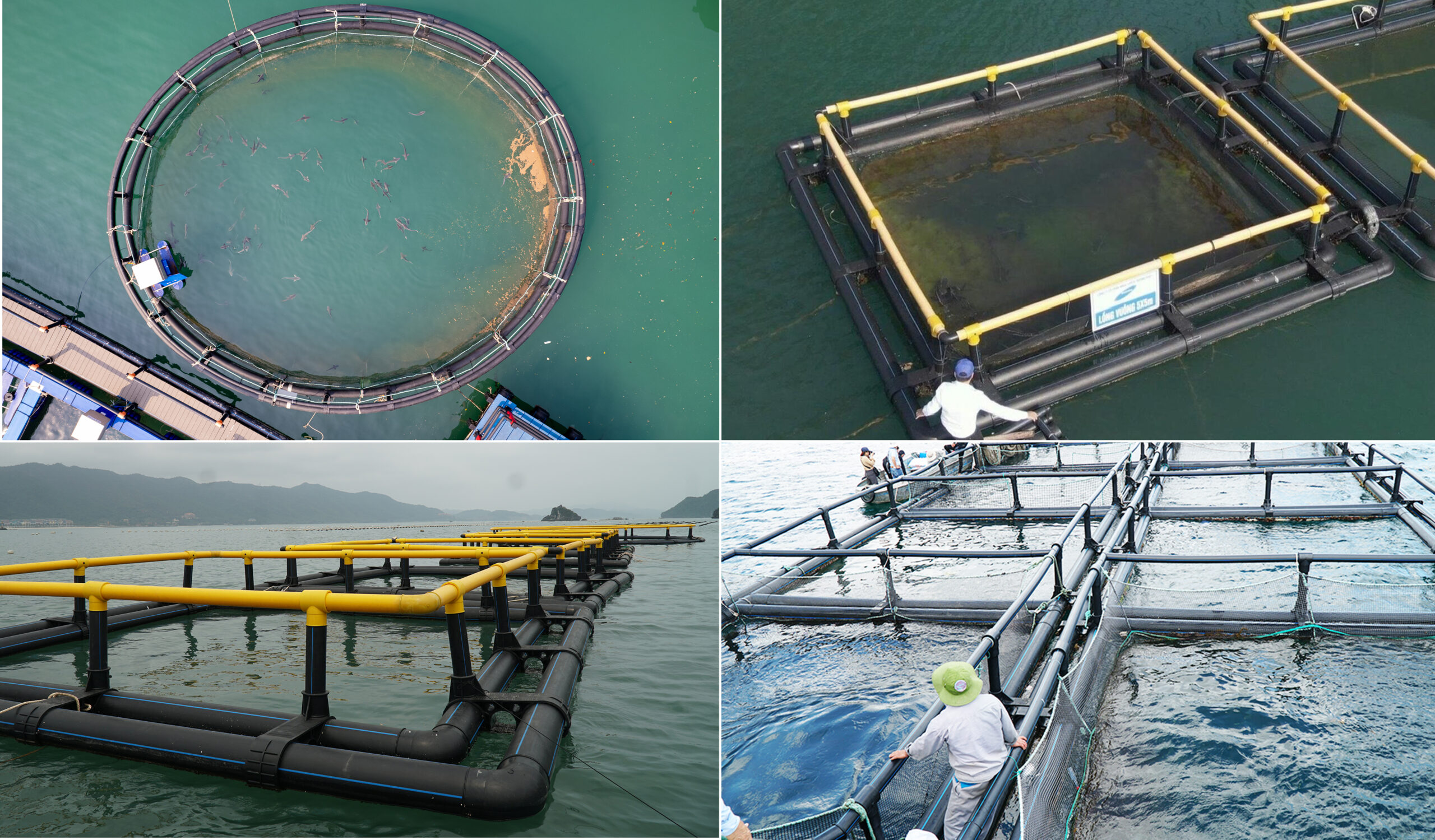 Lồng nuôi cá HDPE