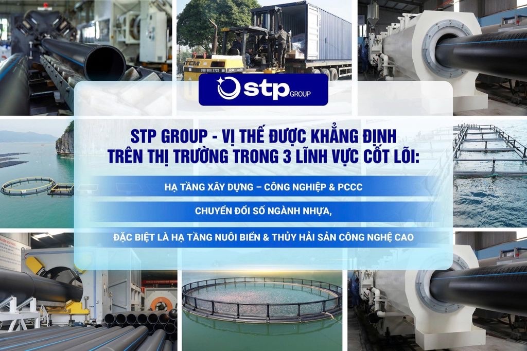 3 lĩnh vực cốt lõi của STP