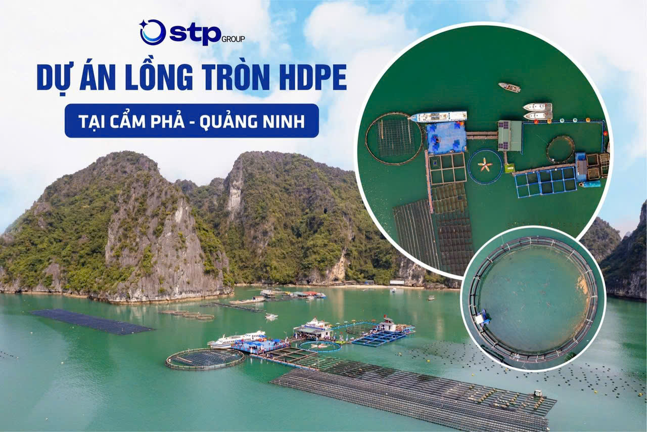 lồng tròn