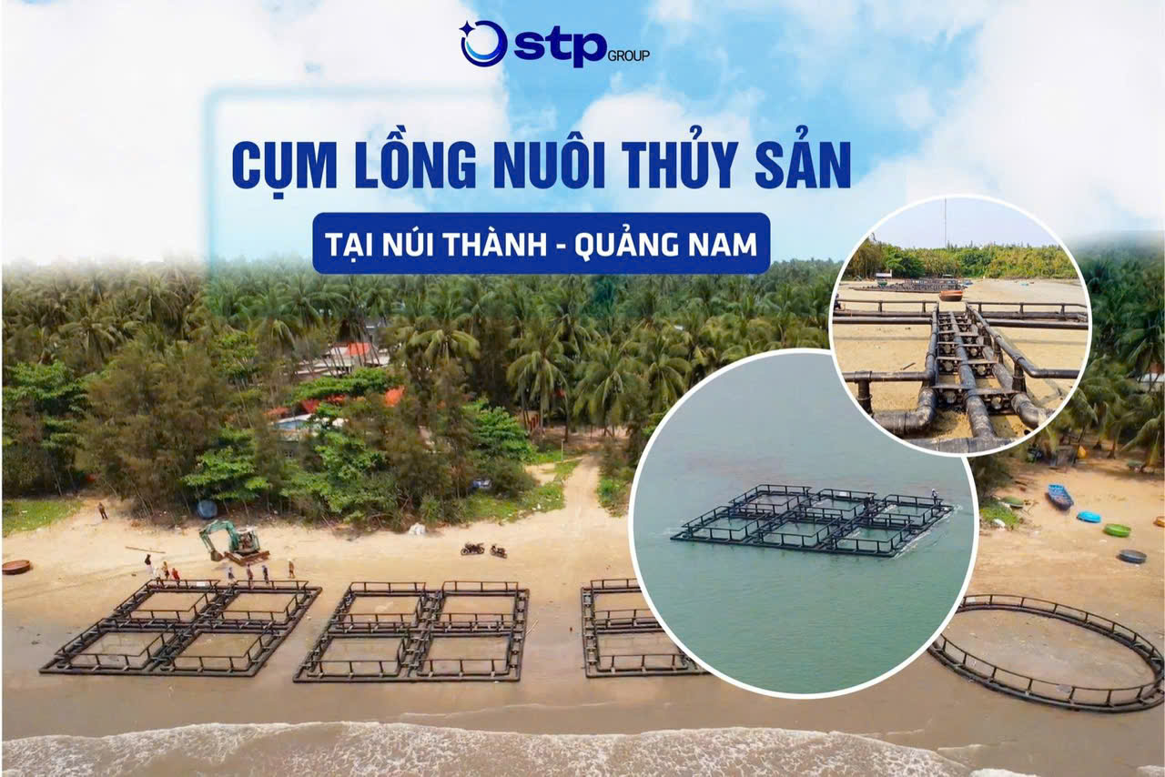 Cụm lồng ở Núi Thành - Quảng Nam