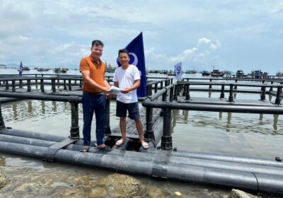 STP Group bàn giao cụm lồng HDPE công nghệ cao cho khách hàng tại Hòn Mê